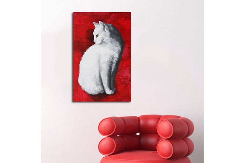 Lerretsbilde med LED-belysning 70x45 cm - Hvit katt på rød bakgrunn - Hvit / Rød - Interiør - Maleri & posters - Lerretsbilder