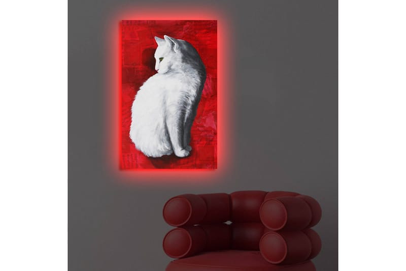 Lerretsbilde med LED-belysning 70x45 cm - Hvit katt på rød bakgrunn - Hvit / Rød - Interiør - Maleri & posters - Lerretsbilder