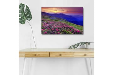 Lerretsbilde med LED-belysning - Blomstrende eng med fargerike blomster og fjell i bakgrunnen - Lilla / Rosa / Grønn - Interiør - Maleri & posters - Lerretsbilder