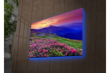 Lerretsbilde med LED-belysning - Blomstrende eng med fargerike blomster og fjell i bakgrunnen - Lilla / Rosa / Grønn - Interiør - Maleri & posters - Lerretsbilder