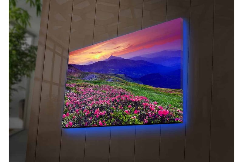 Lerretsbilde med LED-belysning - Blomstrende eng med fargerike blomster og fjell i bakgrunnen - Lilla / Rosa / Grønn - Interiør - Maleri & posters - Lerretsbilder