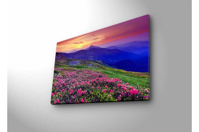Lerretsbilde med LED-belysning - Blomstrende eng med fargerike blomster og fjell i bakgrunnen - Lilla / Rosa / Grønn - Interiør - Maleri & posters - Lerretsbilder