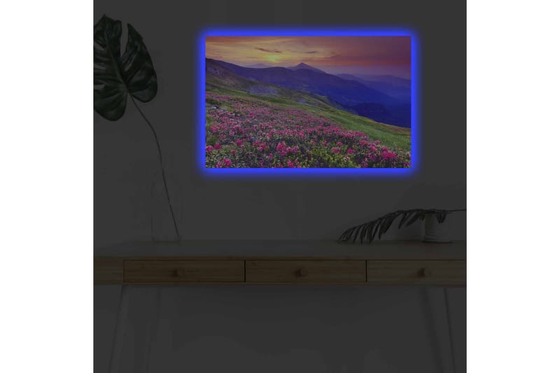 Lerretsbilde med LED-belysning - Blomstrende eng med fargerike blomster og fjell i bakgrunnen - Lilla / Rosa / Grønn - Interiør - Maleri & posters - Lerretsbilder