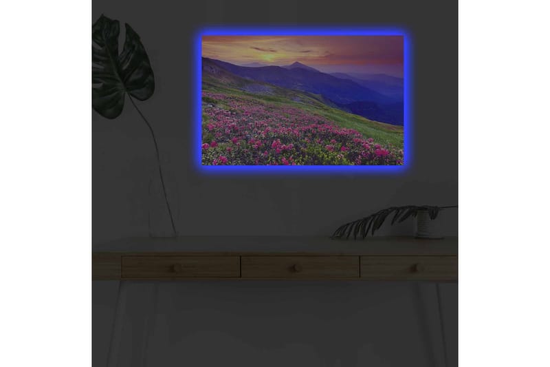 Lerretsbilde med LED-belysning - Blomstrende eng med fargerike blomster og fjell i bakgrunnen - Lilla / Rosa / Grønn - Interiør - Maleri & posters - Lerretsbilder