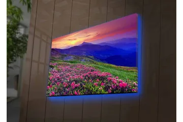 Lerretsbilde med LED-belysning - Blomstrende eng med fargerike blomster og fjell i bakgrunnen - Lilla / Rosa / Grønn - Interiør - Maleri & posters - Lerretsbilder