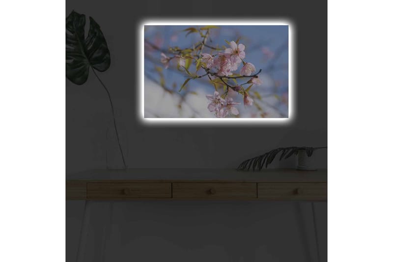 Lerretsbilde med LED-belysning - Blomstrende kirsebærtrær i vårlyset - Rosa / Grønn / Blå - Interiør - Maleri & posters - Lerretsbilder
