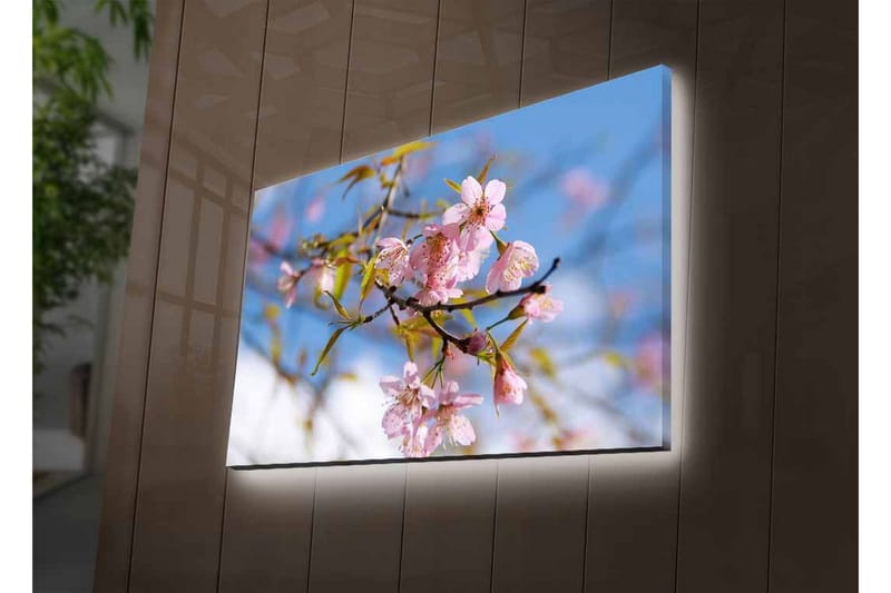 Lerretsbilde med LED-belysning - Blomstrende kirsebærtrær i vårlyset - Rosa / Grønn / Blå - Interiør - Maleri & posters - Lerretsbilder