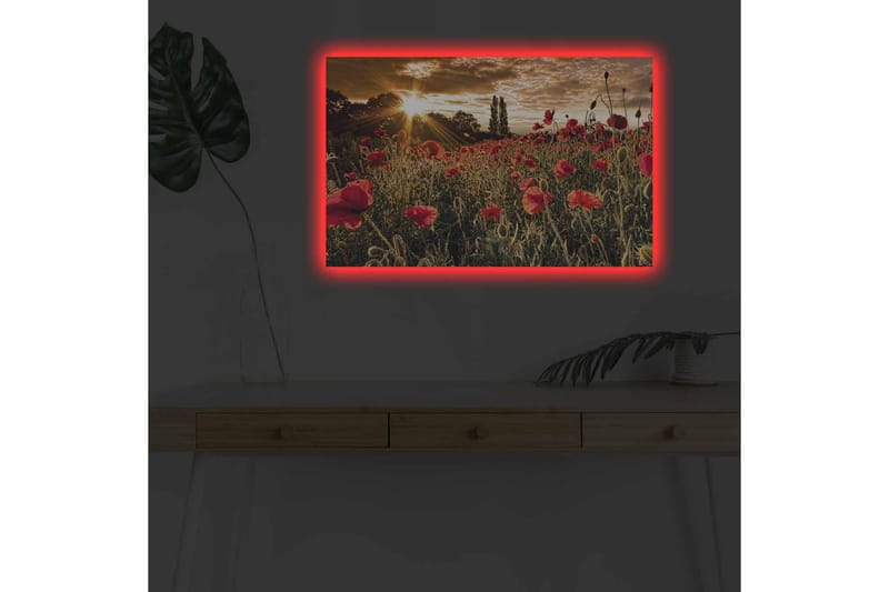 Lerretsbilde med LED-belysning - Blomstrende valmuefelt i solnedgangens lys - Rød / Grønn / Gul - Interiør - Maleri & posters - Lerretsbilder