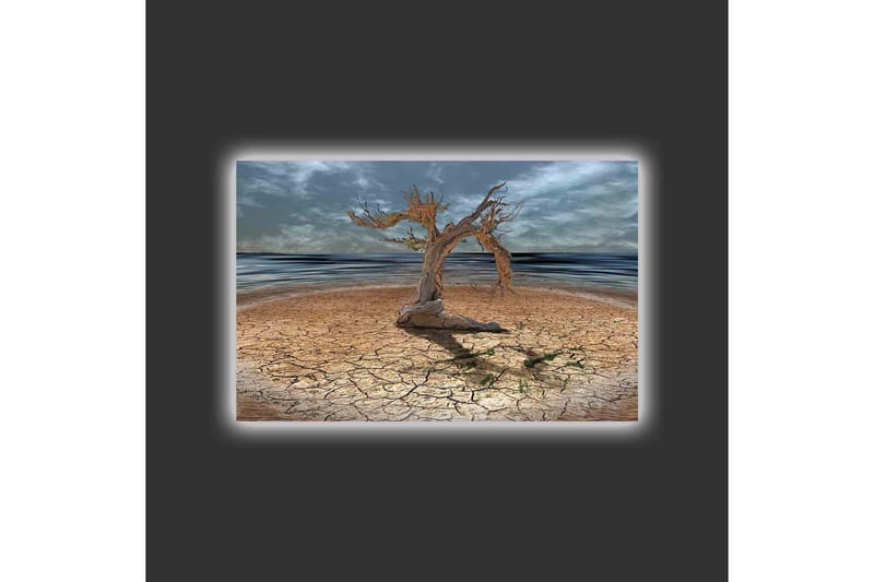 Lerretsbilde med LED-belysning - Dødt tre på en sprukket jordoverflate ved havet - Brun / Grå / Blå - Interiør - Maleri & posters - Lerretsbilder