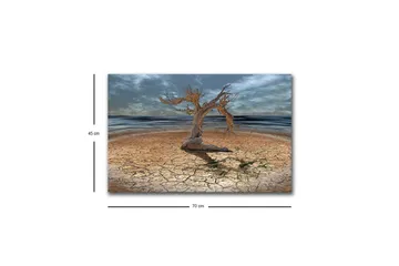 Lerretsbilde med LED-belysning - Dødt tre på en sprukket jordoverflate ved havet - Brun / Grå / Blå - Interiør - Maleri & posters - Lerretsbilder