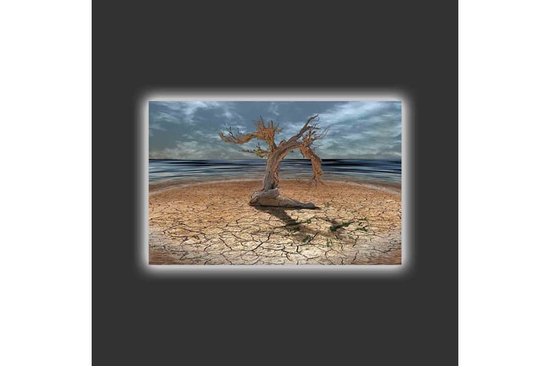 Lerretsbilde med LED-belysning - Dødt tre på en sprukket jordoverflate ved havet - Brun / Grå / Blå - Interiør - Maleri & posters - Lerretsbilder