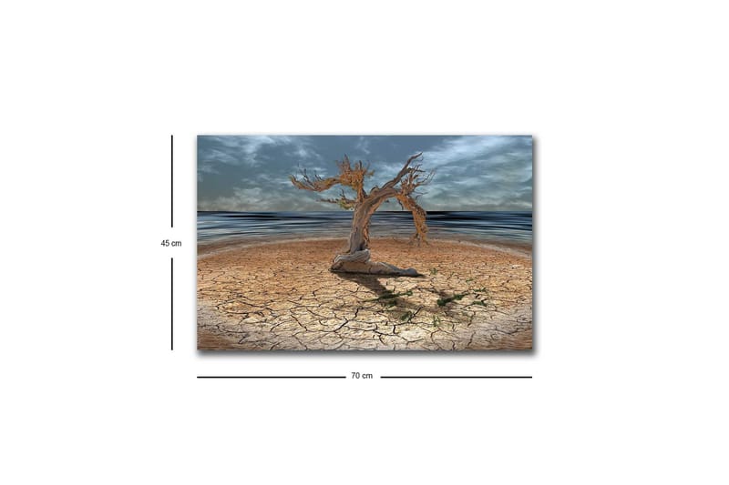 Lerretsbilde med LED-belysning - Dødt tre på en sprukket jordoverflate ved havet - Brun / Grå / Blå - Interiør - Maleri & posters - Lerretsbilder