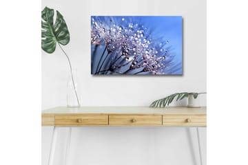 Lerretsbilde med LED-belysning - Delikat blomsterkomposisjon med vanndråper - Blå / Hvit / Lilla - Interiør - Maleri & posters - Lerretsbilder
