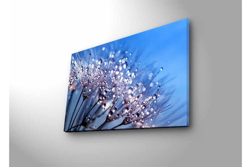 Lerretsbilde med LED-belysning - Delikat blomsterkomposisjon med vanndråper - Blå / Hvit / Lilla - Interiør - Maleri & posters - Lerretsbilder