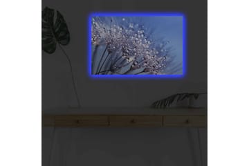 Lerretsbilde med LED-belysning - Delikat blomsterkomposisjon med vanndråper - Blå / Hvit / Lilla - Interiør - Maleri & posters - Lerretsbilder