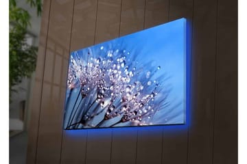 Lerretsbilde med LED-belysning - Delikat blomsterkomposisjon med vanndråper - Blå / Hvit / Lilla - Interiør - Maleri & posters - Lerretsbilder