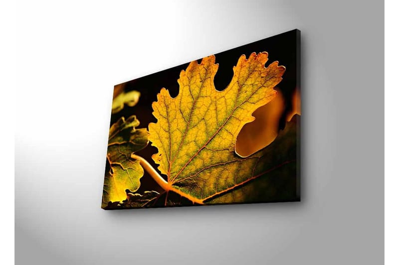 Lerretsbilde med LED-belysning - Detaljert komposisjon av grønne og gylne blader - Grønn / Gyllen - Interiør - Maleri & posters - Lerretsbilder