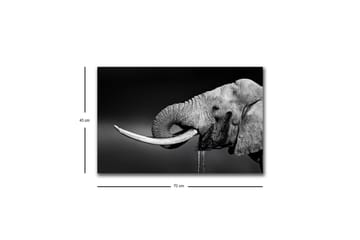 Lerretsbilde med LED-belysning - Elefant i svart-hvitt med detaljert tekstur - Svart / Hvit / Grå - Interiør - Maleri & posters - Lerretsbilder