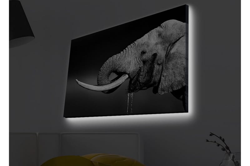 Lerretsbilde med LED-belysning - Elefant i svart-hvitt med detaljert tekstur - Svart / Hvit / Grå - Interiør - Maleri & posters - Lerretsbilder