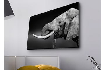Lerretsbilde med LED-belysning - Elefant i svart-hvitt med detaljert tekstur - Svart / Hvit / Grå - Interiør - Maleri & posters - Lerretsbilder