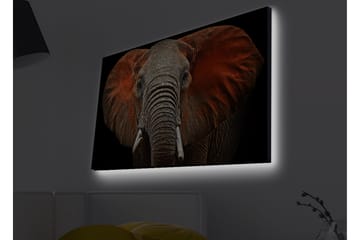 Lerretsbilde med LED-belysning - Elefant med majestetiske ører i dempede farger - Grå / Rød / Svart - Interiør - Maleri & posters - Lerretsbilder