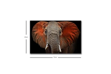 Lerretsbilde med LED-belysning - Elefant med majestetiske ører i dempede farger - Grå / Rød / Svart - Interiør - Maleri & posters - Lerretsbilder