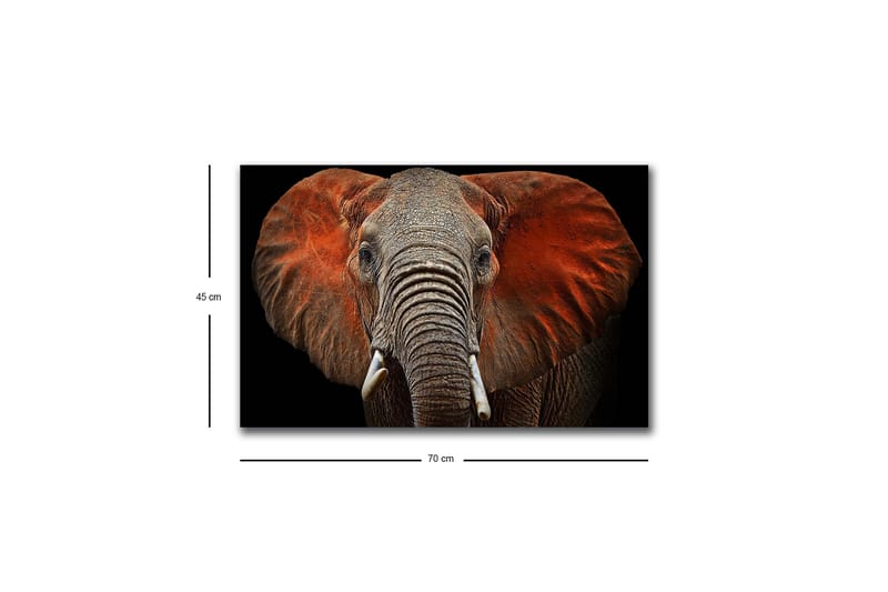 Lerretsbilde med LED-belysning - Elefant med majestetiske ører i dempede farger - Grå / Rød / Svart - Interiør - Maleri & posters - Lerretsbilder