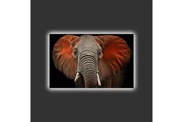 Lerretsbilde med LED-belysning - Elefant med majestetiske ører i dempede farger - Grå / Rød / Svart - Interiør - Maleri & posters - Lerretsbilder