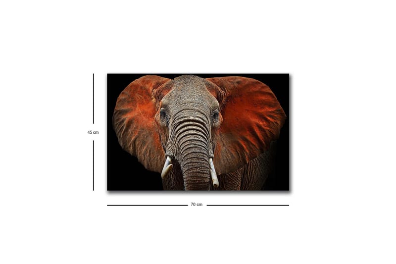 Lerretsbilde med LED-belysning - Elefant med majestetiske ører i dempede farger - Grå / Rød / Svart - Interiør - Maleri & posters - Lerretsbilder