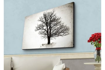 Lerretsbilde med LED-belysning - Ensom, bar trekrone mot hvit bakgrunn - Svart / Hvit - Interiør - Maleri & posters - Lerretsbilder