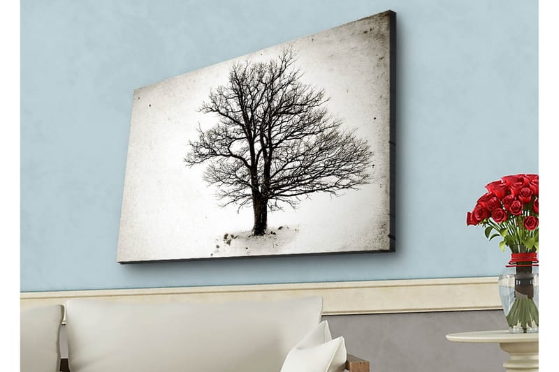 Lerretsbilde med LED-belysning - Ensom, bar trekrone mot hvit bakgrunn - Svart / Hvit - Interiør - Maleri & posters - Lerretsbilder