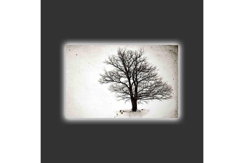 Lerretsbilde med LED-belysning - Ensom, bar trekrone mot hvit bakgrunn - Svart / Hvit - Interiør - Maleri & posters - Lerretsbilder