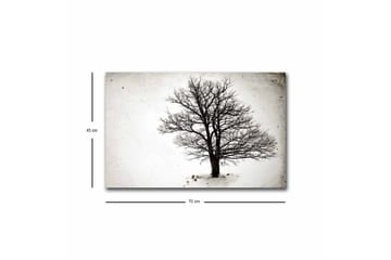 Lerretsbilde med LED-belysning - Ensom, bar trekrone mot hvit bakgrunn - Svart / Hvit - Interiør - Maleri & posters - Lerretsbilder