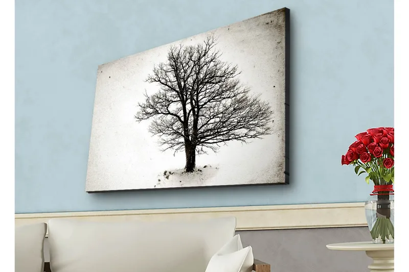 Lerretsbilde med LED-belysning - Ensom, bar trekrone mot hvit bakgrunn - Svart / Hvit - Interiør - Maleri & posters - Lerretsbilder