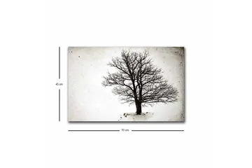 Lerretsbilde med LED-belysning - Ensom, bar trekrone mot hvit bakgrunn - Svart / Hvit - Interiør - Maleri & posters - Lerretsbilder