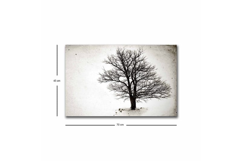 Lerretsbilde med LED-belysning - Ensom, bar trekrone mot hvit bakgrunn - Svart / Hvit - Interiør - Maleri & posters - Lerretsbilder