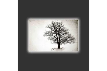 Lerretsbilde med LED-belysning - Ensom, bar trekrone mot hvit bakgrunn - Svart / Hvit - Interiør - Maleri & posters - Lerretsbilder