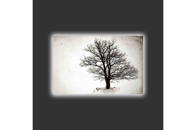 Lerretsbilde med LED-belysning - Ensom, bar trekrone mot hvit bakgrunn - Svart / Hvit - Interiør - Maleri & posters - Lerretsbilder