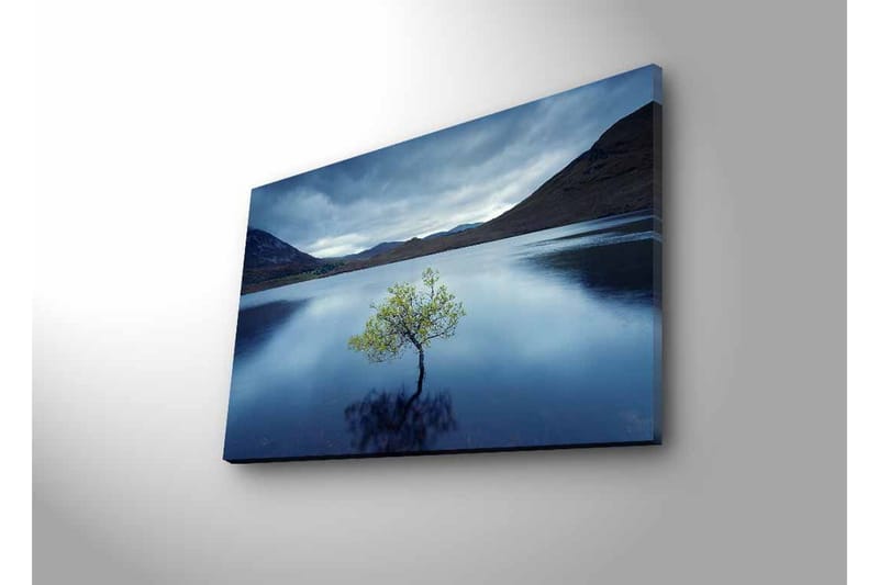 Lerretsbilde med LED-belysning - Ensom tretopp speilet i stille vann - Mørk blå / Grønn / Grå - Interiør - Maleri & posters - Lerretsbilder