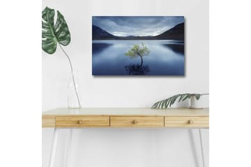 Lerretsbilde med LED-belysning - Ensom tretopp speilet i stille vann - Mørk blå / Grønn / Grå - Interiør - Maleri & posters - Lerretsbilder