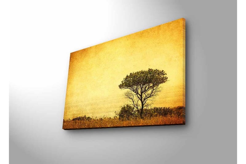 Lerretsbilde med LED-belysning - Ensomt tresilhuett mot en gyllen himmel - Gull / Brun / Svart - Interiør - Maleri & posters - Lerretsbilder