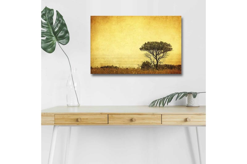 Lerretsbilde med LED-belysning - Ensomt tresilhuett mot en gyllen himmel, Gull / Brun / Svart