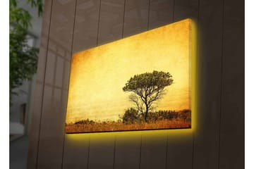 Lerretsbilde med LED-belysning - Ensomt tresilhuett mot en gyllen himmel - Gull / Brun / Svart - Interiør - Maleri & posters - Lerretsbilder