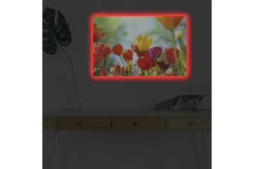 Lerretsbilde med LED-belysning - Fargerik bukett med tulipaner - Rød / Gul / Lilla - Interiør - Maleri & posters - Lerretsbilder