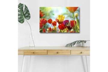 Lerretsbilde med LED-belysning - Fargerik bukett med tulipaner - Rød / Gul / Lilla - Interiør - Maleri & posters - Lerretsbilder