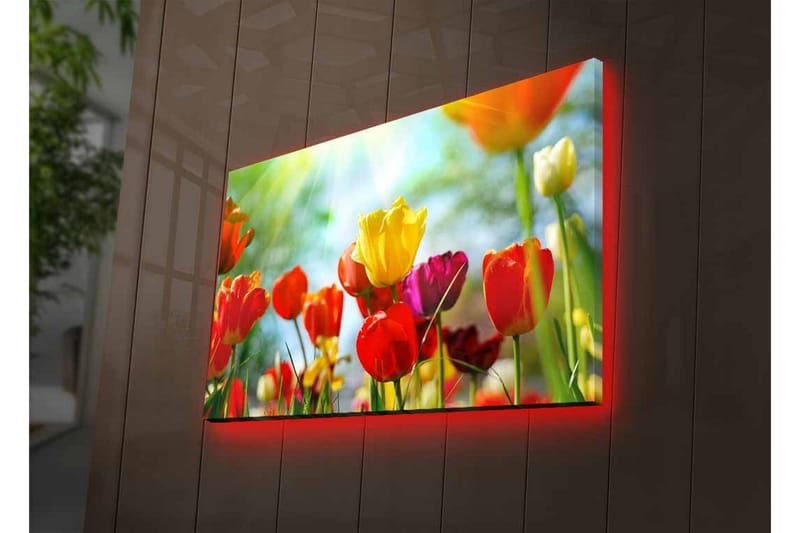 Lerretsbilde med LED-belysning - Fargerik bukett med tulipaner - Rød / Gul / Lilla - Interiør - Maleri & posters - Lerretsbilder