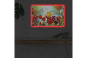 Lerretsbilde med LED-belysning - Fargerik bukett med tulipaner - Rød / Gul / Lilla - Interiør - Maleri & posters - Lerretsbilder