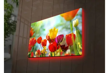 Lerretsbilde med LED-belysning - Fargerik bukett med tulipaner - Rød / Gul / Lilla - Interiør - Maleri & posters - Lerretsbilder