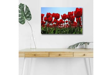 Lerretsbilde med LED-belysning - Fargerik tulipanåker i full blomst - Rød / Grønn - Interiør - Maleri & posters - Lerretsbilder