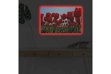 Lerretsbilde med LED-belysning - Fargerik tulipanåker i full blomst - Rød / Grønn - Interiør - Maleri & posters - Lerretsbilder